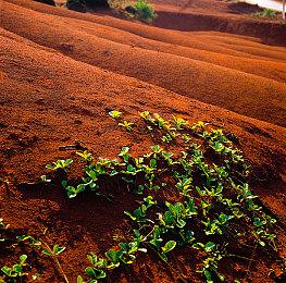 《命运2：凌光之刻》神隐赛季预告片 觉醒女王回归幽梦之城